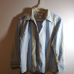 Talbots Stripe Button-Down Shirt in Blue and Yellow